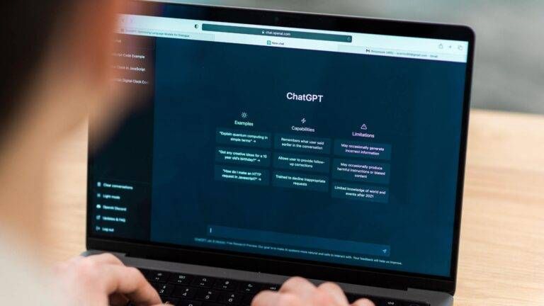 Persona che ricerca su una interfaccia conversazionale (ChatGPT)